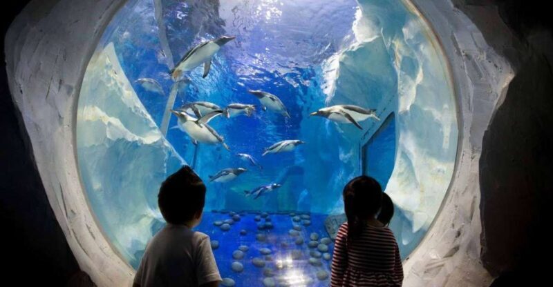 SEA LIFE Paris: Admission Ticket - Practical Details and Tips