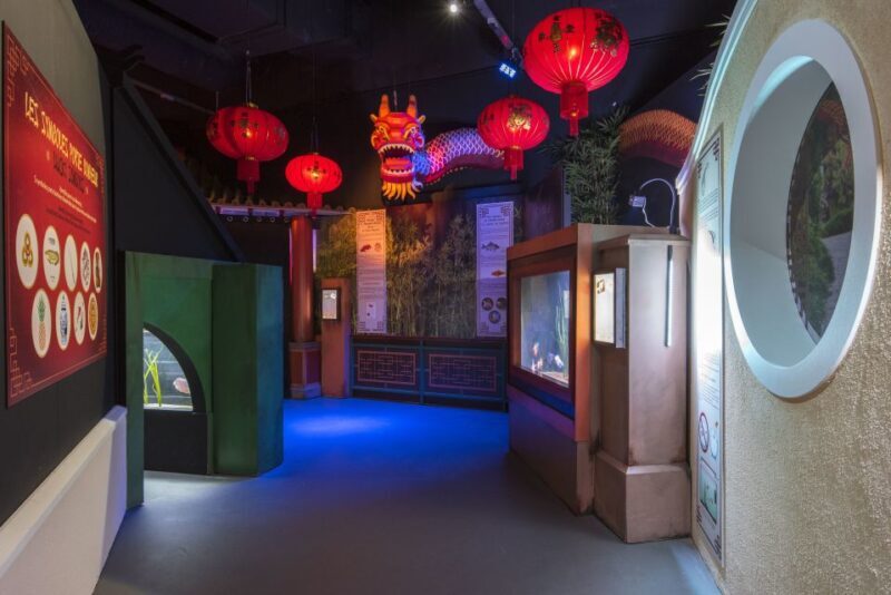 SEA LIFE Paris: Admission Ticket - Final Thoughts