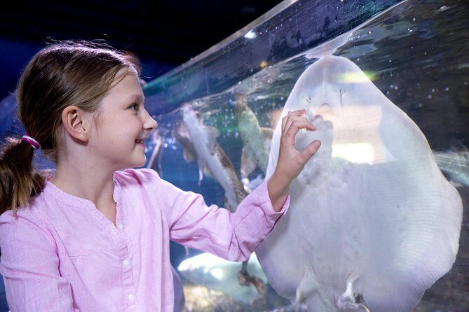 SEA LIFE San Antonio Admission Ticket - Getting to Grips with SEA LIFE San Antonio