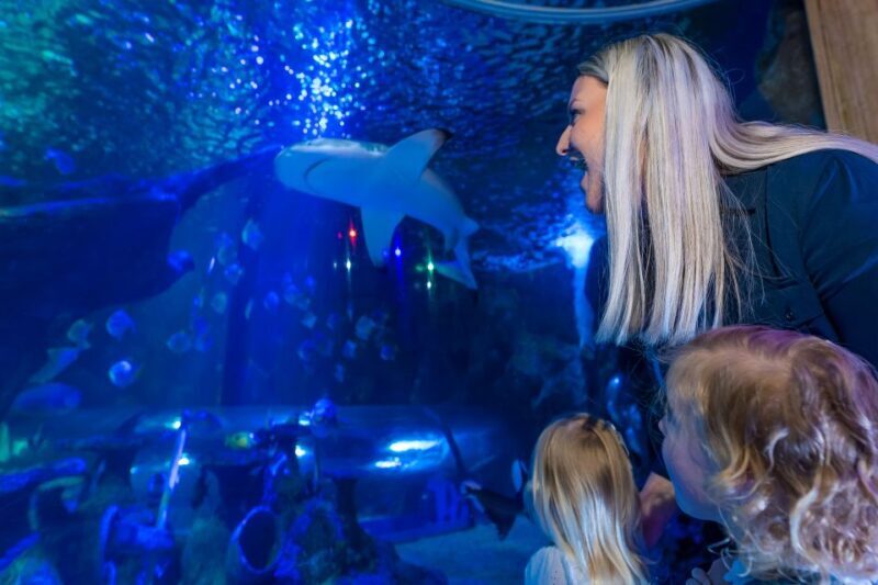 Sea Life Scarborough - A Closer Look at Sea Life Scarborough