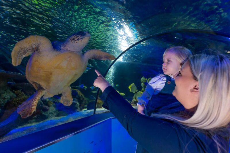 Sea Life Scarborough - Practical Tips for Visiting