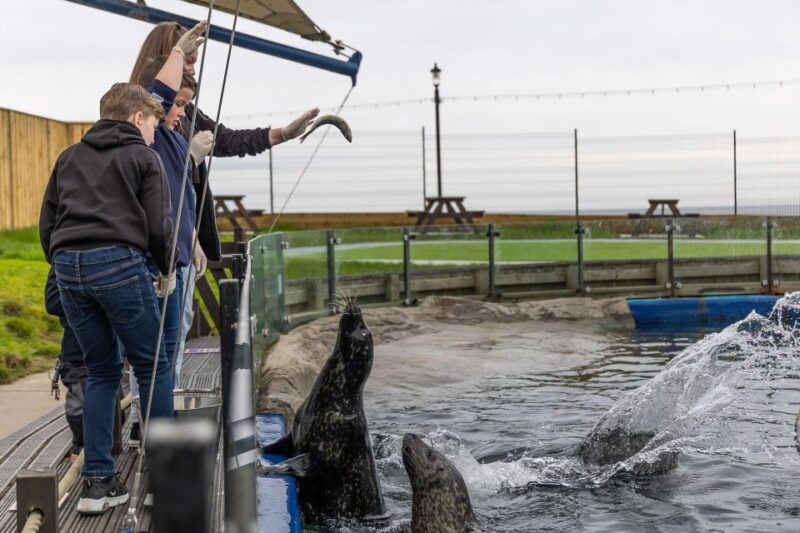 Sea Life Scarborough - Summary of the Experience