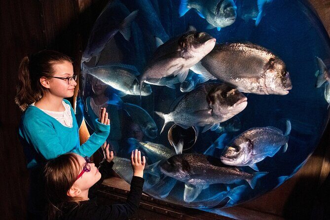 SEA LIFE Speyer Admission Ticket - What to Expect from SEA LIFE Speyer