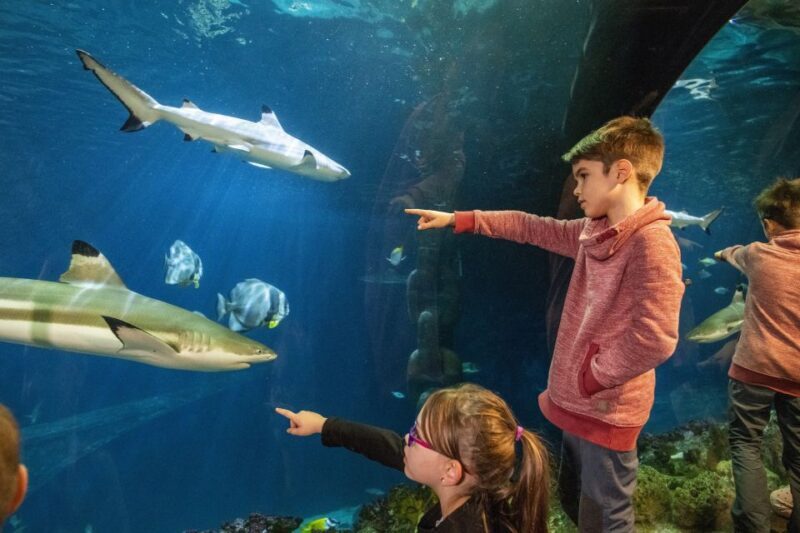 Sea Life Speyer Ticket - Key Points