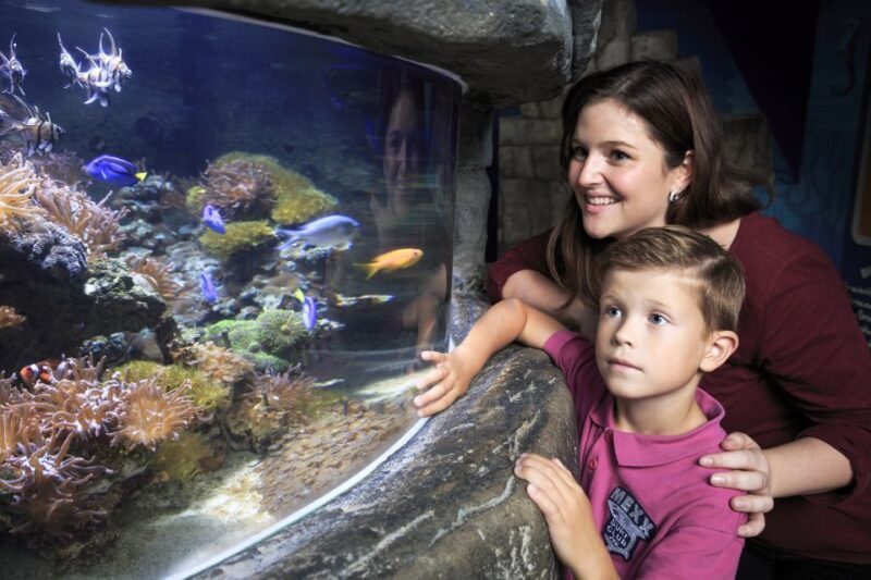 SEA LIFE Timmendorfer Strand Ticket - Final Thoughts