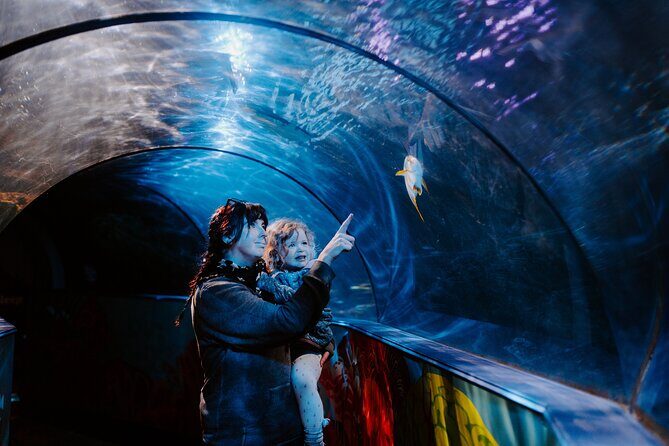 SEA LIFE Weymouth Admission Ticket - Key Points