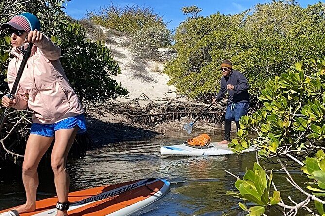 Sea Lions & Mega-Paddleboard Tour in Balandra - What Makes This Tour Special?