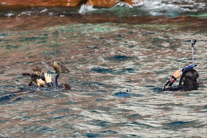Sea Lions & Mega-Paddleboard Tour in Espiritu Santo - Is This Tour Right for You?