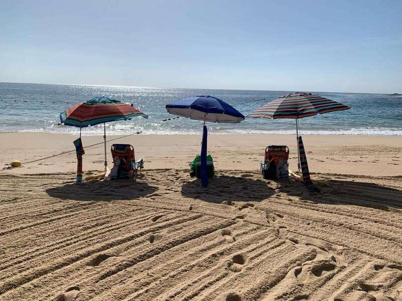 Sea of Cortez: Unforgettable Snorkeling Experience - Who Will Love This Experience?