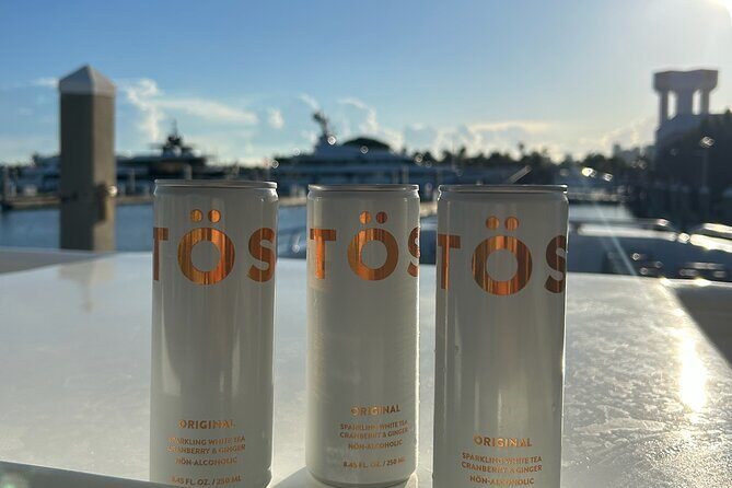 Sea Rocket 3 Hour Intracoastal and Sandbar Adventure - What to Expect from the Tour