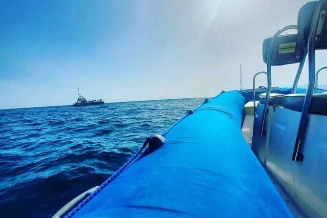 SEA SAFARI, Dolphins, Whales, snorkeling, snack and drink, 2 h speedboat - The Experience: What You Can Expect