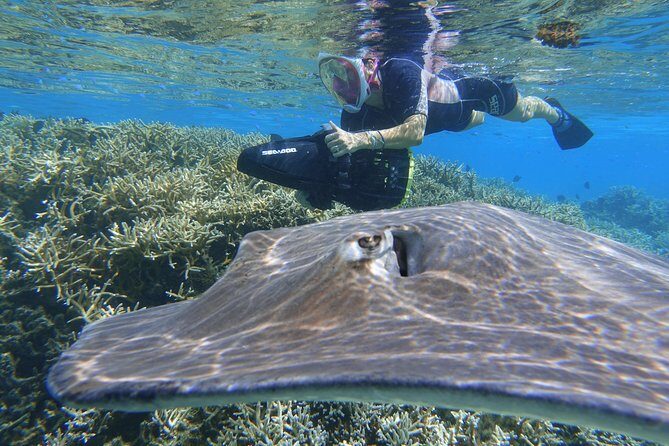 Sea Scooter Jet Snorkeling "Moorea Dream Adventure" - The Experience: Why People Love It