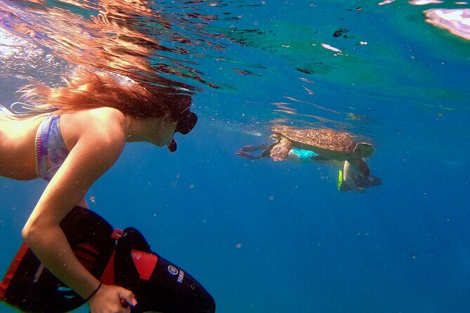 Sea Scooter Snorkeling Guided Tour - Turtle Town - The Experience: From Briefing to Underwater Exploration