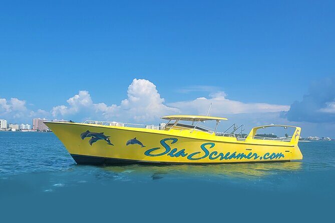 Sea Screamer Clearwater's Only Speed Boat Dolphin Watching - An Honest Look at the Experience