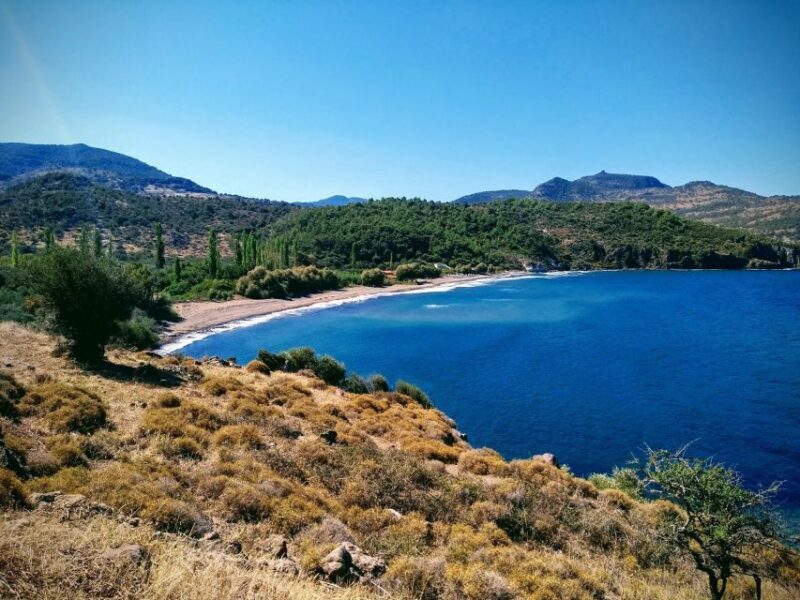 Sea, Sun and Swimming Cruise from Mytilene - What Do Real Guests Say?