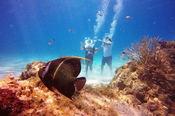 Sea Trek Adventure at Chankanaab National Park - Final Thoughts: Who Should Consider This?