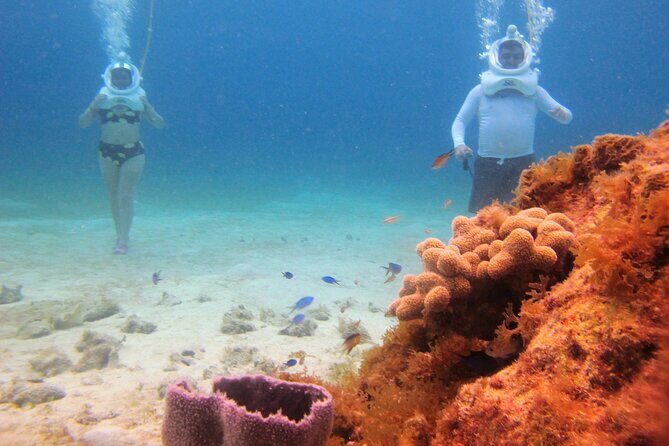 Sea Trek Adventure at Chankanaab National Park - FAQs