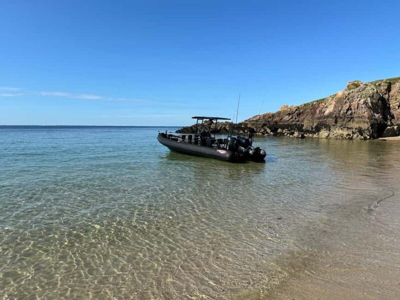 Sea trip Golfe du Morbihan Arzon - The Experience in Detail