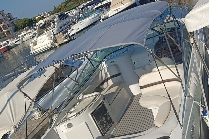 Sea trip to the Lerins Islands from Cannes - Who Is This Tour Best For?