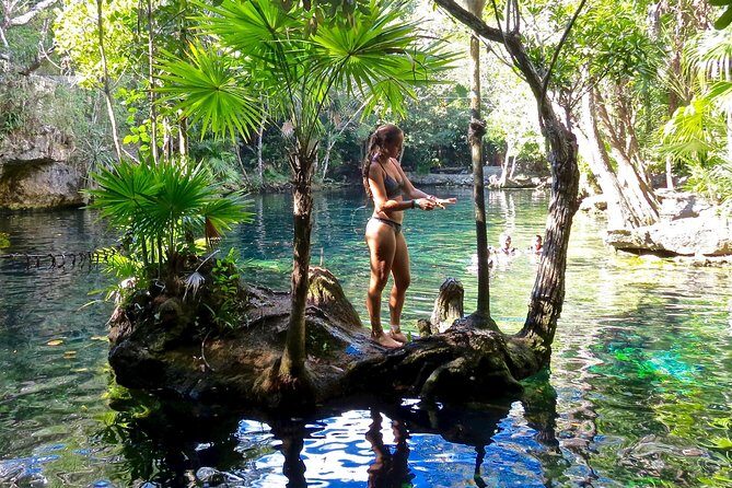 Sea turtle and cenotes half day Snorkeling Tour from Riviera Maya - Who Is This Tour Best For?