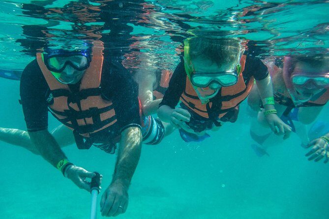 Sea Turtle Snorkeling Ecofriendly Tour from Cancun & Riviera Maya - FAQs