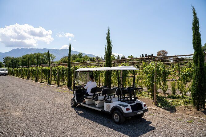 Seafood Lunch & Wine Tasting with Scenic Golf Cart Tour - Key Points