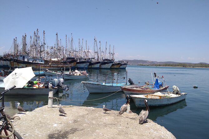 Seafood Secret Tour in Mazatlan - Exploring the Itinerary in Detail