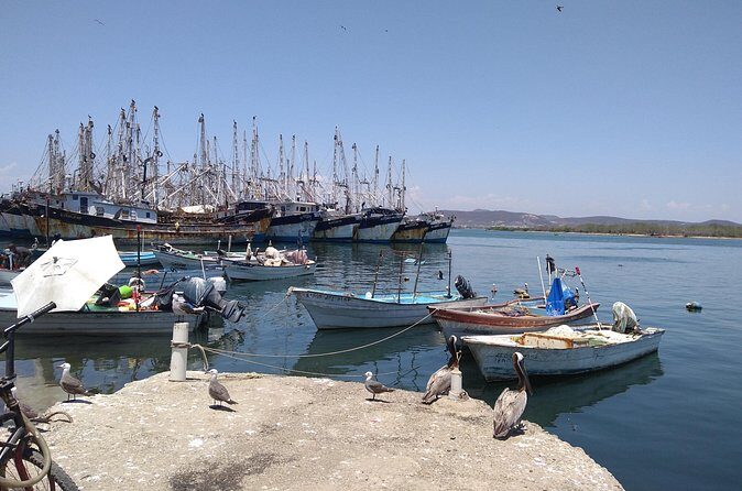 Seafood Secret Tour in Mazatlan - Who Should Consider This Tour?