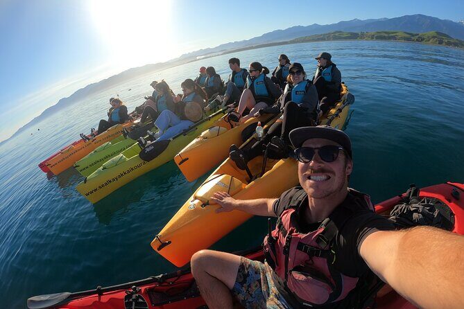 Seal Kayaking Adventure in Kaikoura - Group Size, Price, and Value