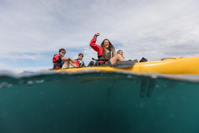 Seal Kayaking Adventure in Kaikoura - Who Would Love This Experience?