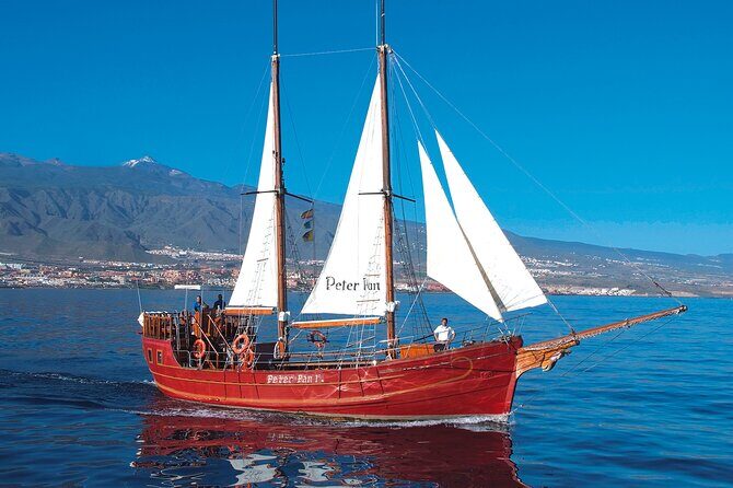 Sealife Dolphin & Whale Watching aboard Portuguese schooner - Who Should Consider This Experience?