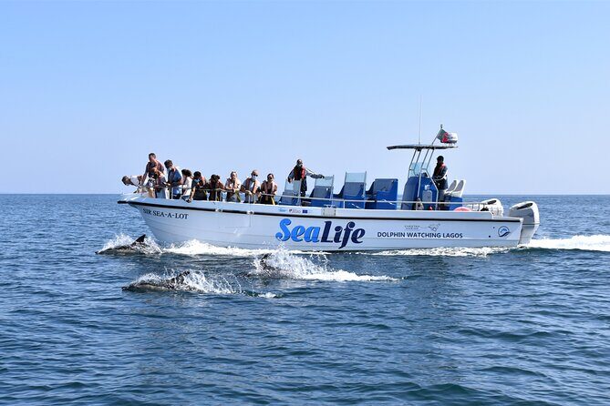 Sealife Sea Safari, Dolphin Watching with Marine Biologist's Lagos - Key Points