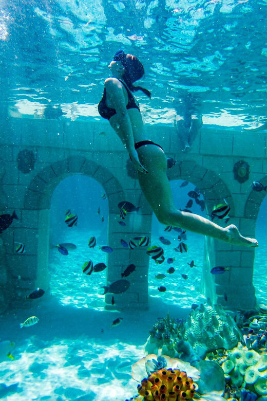 Seapark: Swimming in Pool Aquarium with Authentic Creatures - Who Will Love Seapark?