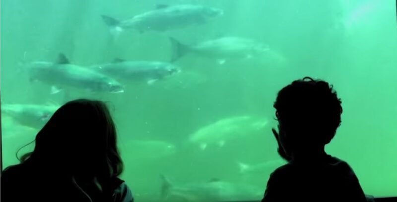 Seattle: 3 Hour Emerald City Standard Bike Tour - The Ride Through Seattle: What to Expect