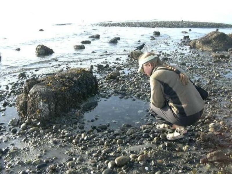 Seattle: Alki Lighthouse Sea Kayak Tour - An Honest Look at the Seattle Alki Lighthouse Sea Kayak Tour