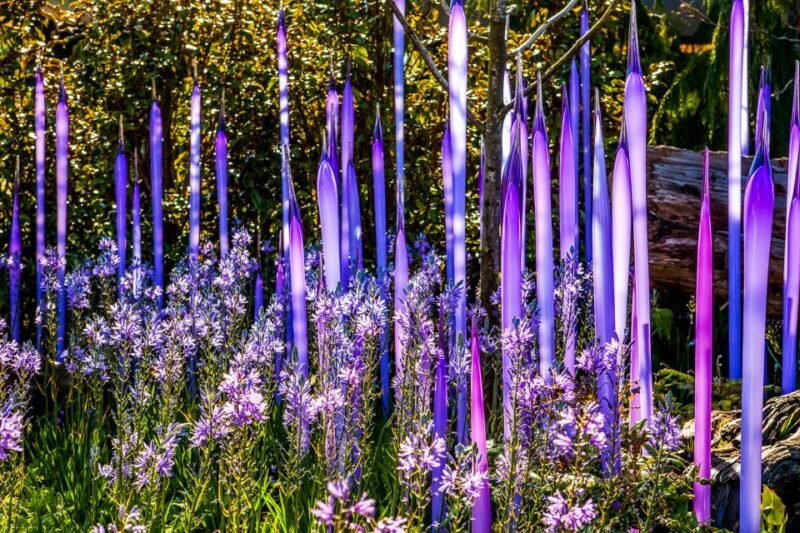 Seattle: Chihuly Garden and Glass Entry Ticket - Final Thoughts