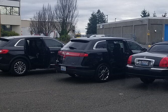 Seattle Cruise Port and Downtown Hotel One Way Transfers - The Experience: What You Can Expect from This Transfer Service