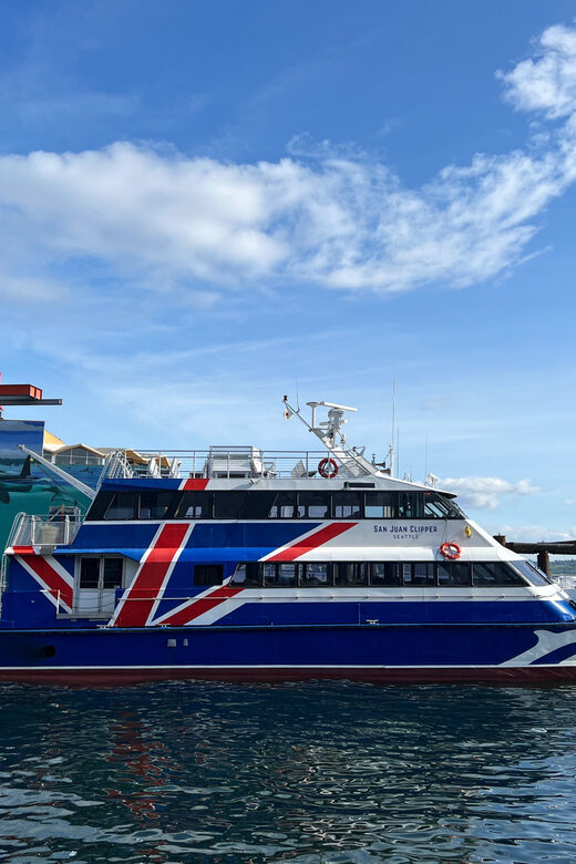 Seattle: Half-Day Wildlife and Whale Watching Cruise - Key Points