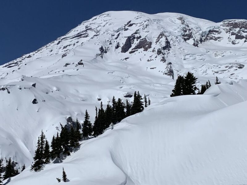 Seattle: Mt. Rainier Hiking w/ Waterfalls, Glaciers & Trees - What to Expect on the Day