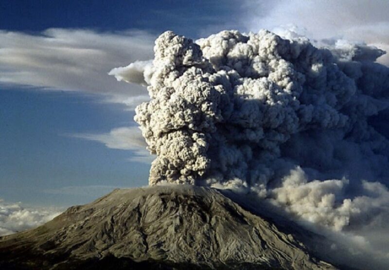 Seattle: Mt. St. Helens National Monument Small Group Tour - Authentic Tourist Feedback