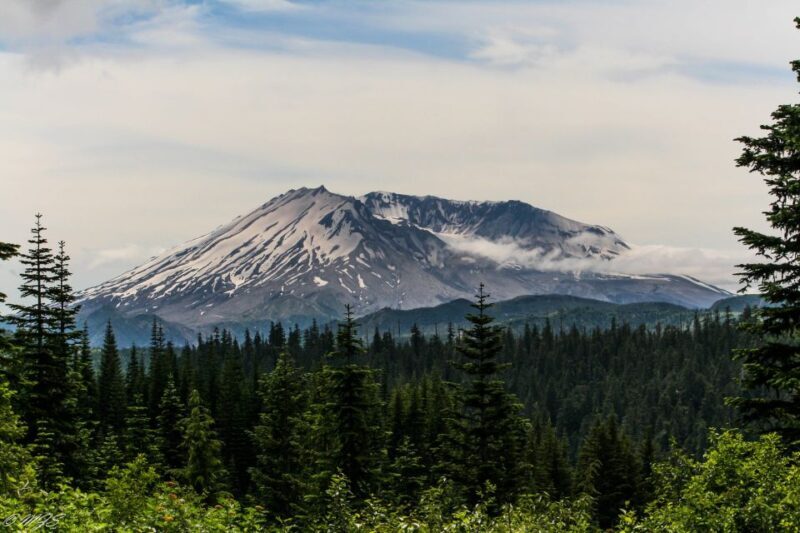 Seattle: Mt. St. Helens National Monument Small Group Tour - Who Should Consider This Tour?