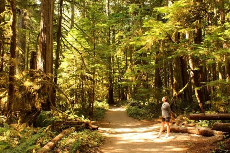 Seattle: Olympic National Park Small-Group Tour - An In-Depth Look at the Olympic National Park Small-Group Tour