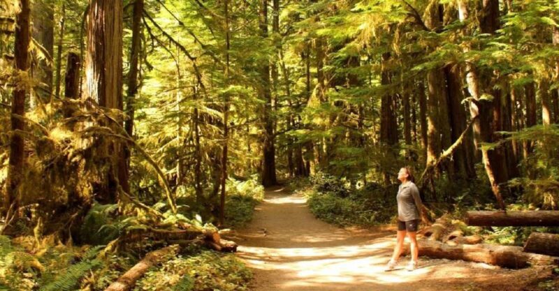 Seattle: Olympic National Park Small-Group Tour - FAQs