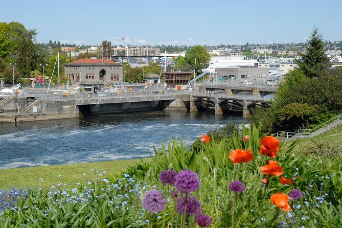 Seattle Pre-Cruise Tour: Transportation & Seattle City Tour - What to Expect: An In-Depth Look at the Tour