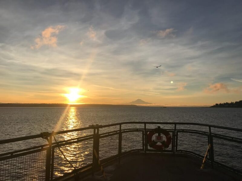 Seattle: Summer Views Cruise - An Overview of the Experience