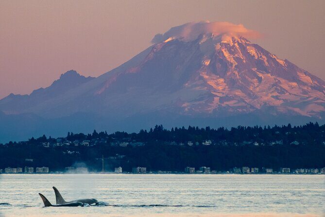 Seattle Sunset Sail BYOB - Frequently Asked Questions