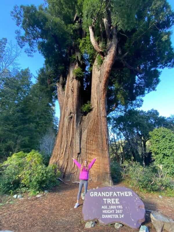 Seattle to California: National Parks and Coast Road Trip - Who Is This Tour Best For?