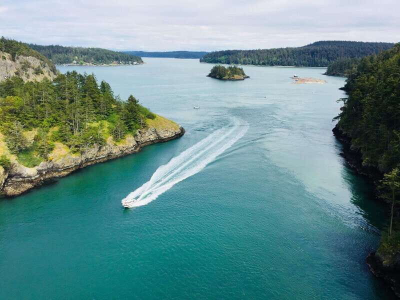 Seattle: Whidbey Island Deception Pass + Winter Birding Trip - An In-Depth Look into the Tour Experience