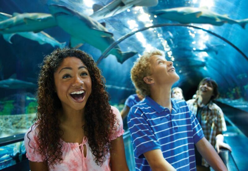 SeaWorld Orlando: Park Admission Ticket - An In-Depth Look at the Experience