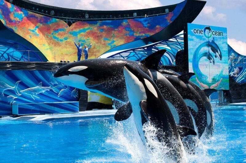 SeaWorld Orlando: Park Admission Ticket - Wrapping It Up